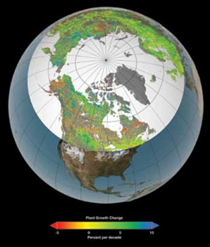 Image of Earth with Plant Growth Change scale. 