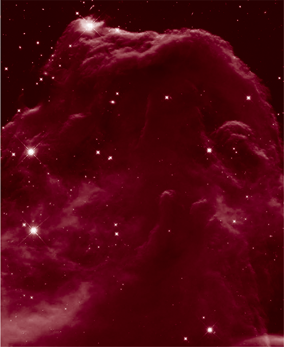 Image of the Horsehead Nebula. 